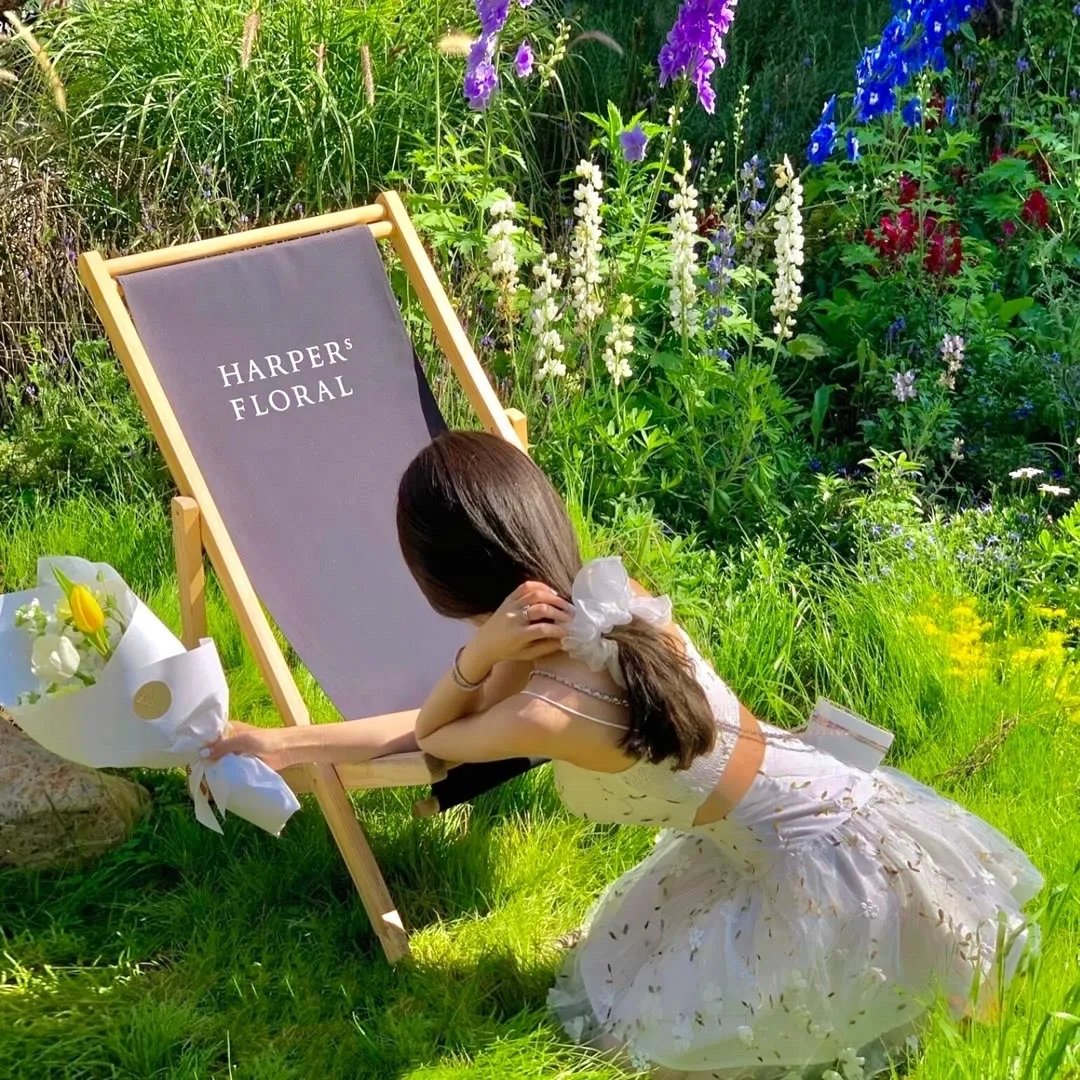 独家头条：初露锋芒