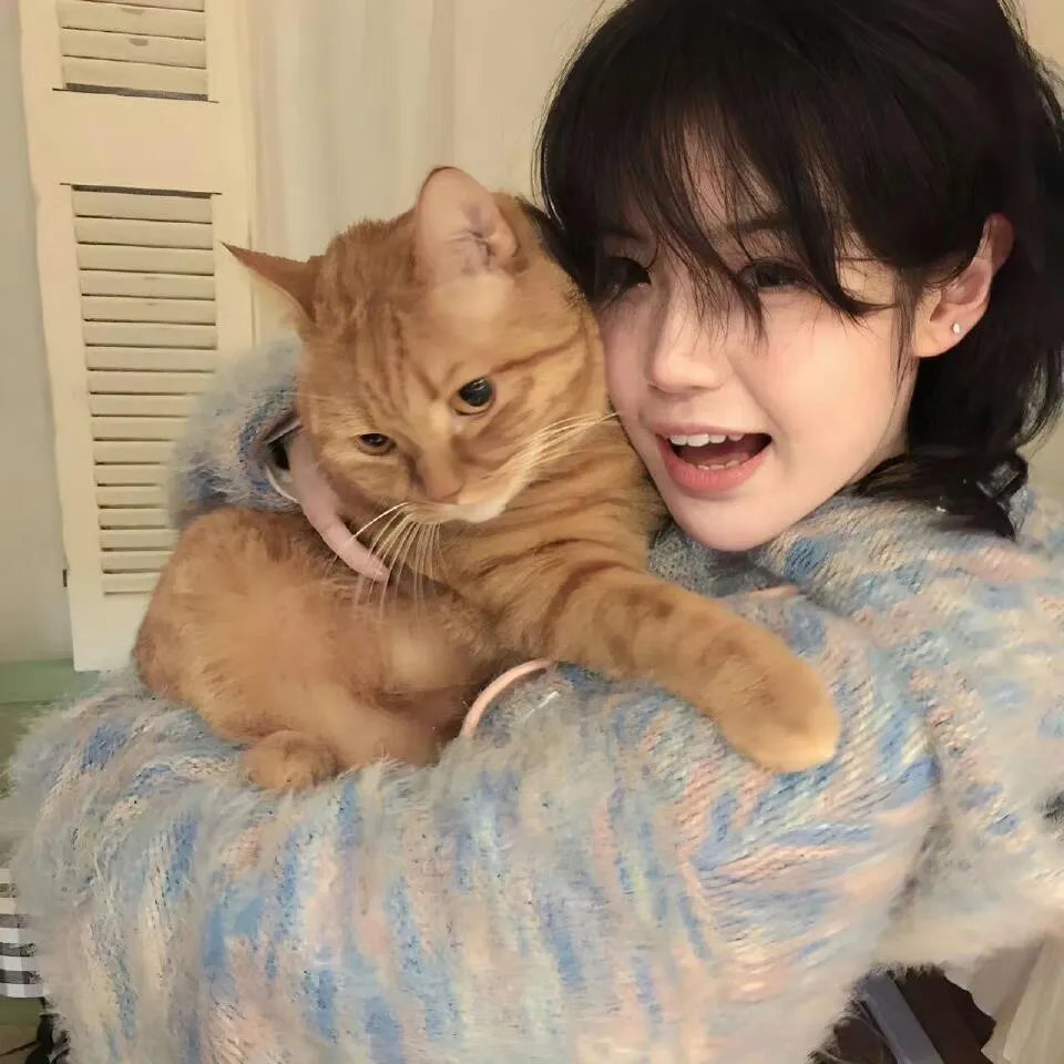 猫和老鼠：星盘奇缘